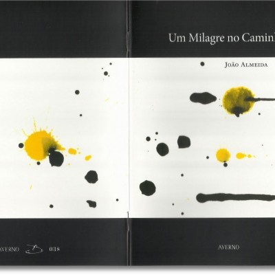 Capa de livro com manchas de tinta e texto