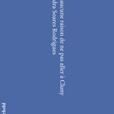 Capa de livro azul com texto branco e letras verticais