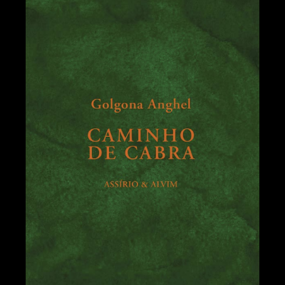 Capa de livro verde escuro com título e texto em amarelo alaranjado.