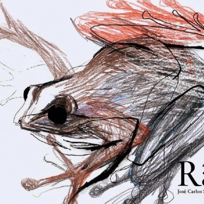 Desenho artístico de um sapo com cores castanhas, vermelhas, pretas e cinzentas em fundo branco.