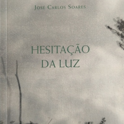 Capa de livro com texto Hesitação da Luz e paisagem cinzenta com árvores