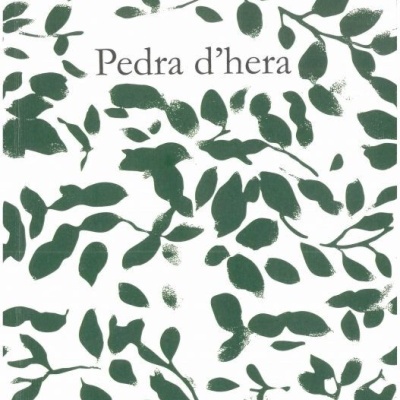 Capa de livro Pedra dhera com folhas verdes e texto preto