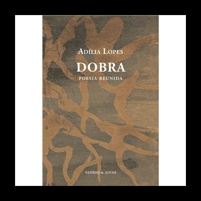 Capa do livro Dobra de Adília Lopes com padrão abstrato castanho e cinzento