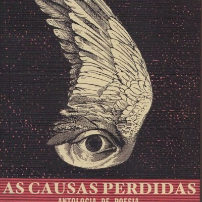 Livro 'AS CAUSAS PERDIDAS' com ilustração de olho com asas em fundo castanho.