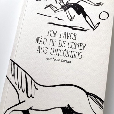 Capa de livro branco com texto e ilustrações a preto