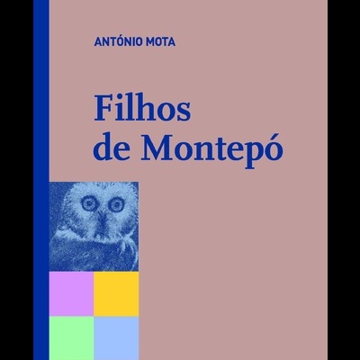 Capa de livro 'Filhos de Montepó' de António Mota com design azul e rosa e imagem de coruja.