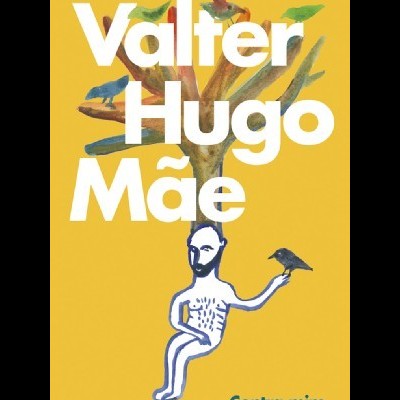 Capa de livro com texto Valter Hugo Mãe e Contra mim com ilustração colorida