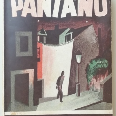 Capa de livro 'Pântano' com ilustração urbana nocturna e texto de João Gaspar Simões