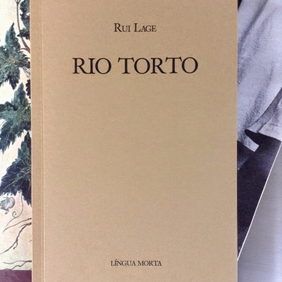 Livro Rio Torto de Rui Lage com capa castanha clara e texto preto