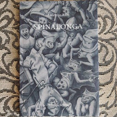 Capa do livro 'SPINALONGA' de Amândio Reis com ilustração cinza em tecido de padrão geométrico