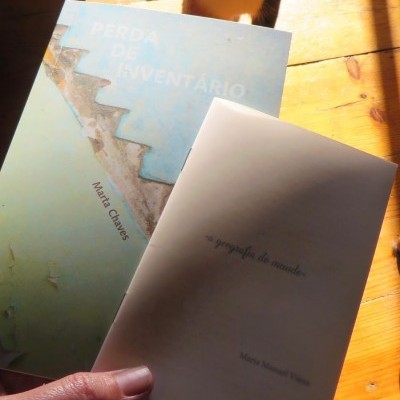 Gato tricolor junto a dois livros em chão de madeira