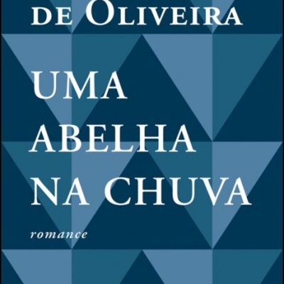 Capa de livro azul com padrão geométrico e texto em branco
