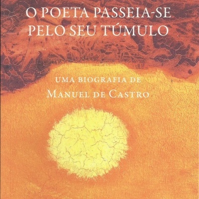 Capa de livro com título e autor em tons de castanho e amarelo