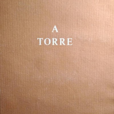 Capa de livro castanha com o título A TORRE e nome do autor Agustina Bessa-Luís em branco.