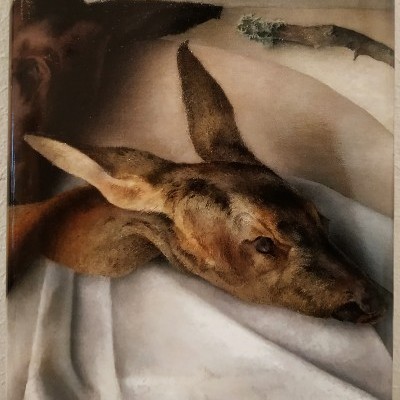 Capa de livro com cabeças de animais empalhados e texto no topo