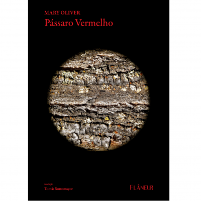 Capa do livro Pássaro Vermelho com textura de casca de árvore e texto vermelho em fundo preto.