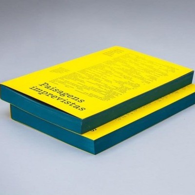 Dois livros com capas amarelas e lombadas azuis empilhados sobre uma superfície cinza clara