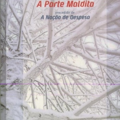 Capa de livro com título e galhos de árvores cobertos de neve