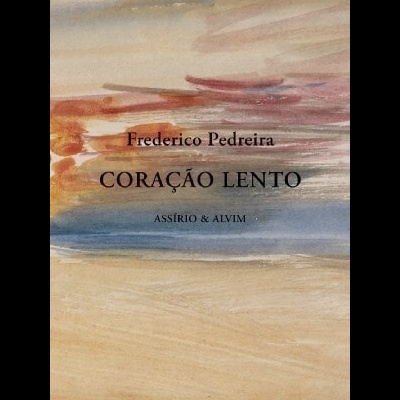 Capa de livro com padrões abstratos azul, bege, castanho e vermelho e texto preto