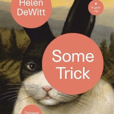 Capa de livro com retrato de coelho branco e preto e textos em círculos cor de tijolo.