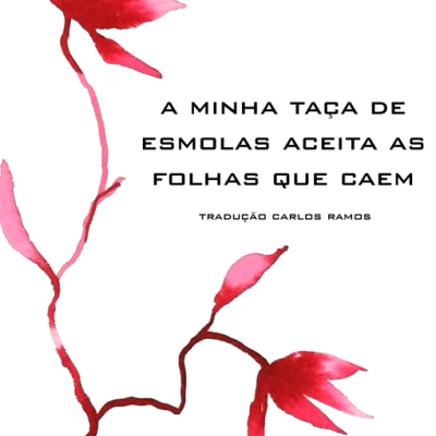 Capa de livro com ilustração de folhas vermelhas e texto em português.