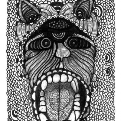 Capa de livro com desenho artístico preto e branco de um rosto de lobo e texto