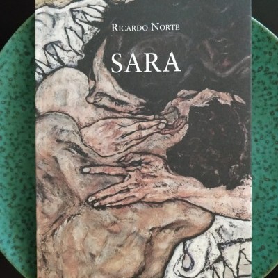 Capa de livro 'SARA' de Ricardo Norte sobre prato verde escuro com padrão.