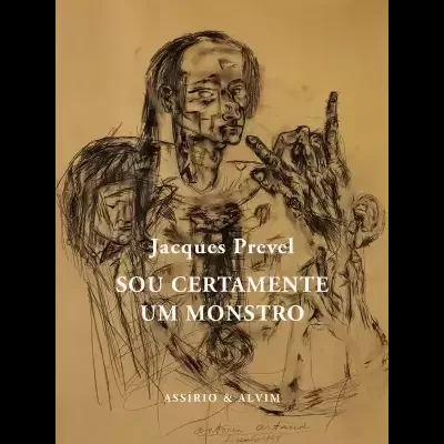 Capa de livro com desenho abstrato de duas figuras humanas e texto com título e autor