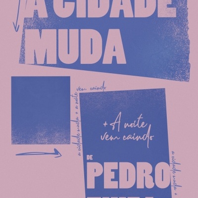 Poster rosa com texto azul com título e nome do autor Pedro Fiuza