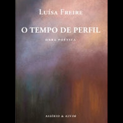 Capa de livro O TEMPO DE PERFIL de LUÍSA FREIRE com fundo texturizado em tons castanhos e cinzentos.