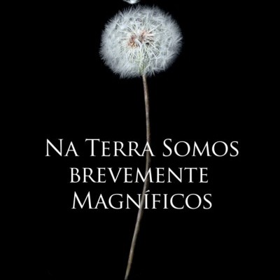 Capa de livro preta com dente-de-leão e título em letras amarelas e brancas