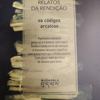 Capa de livro RELATOS DA RENDIÇÃO com texto em português e design com folhas amareladas no fundo