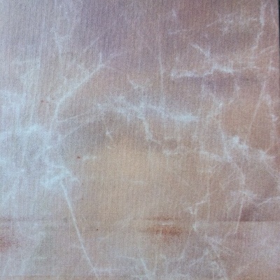 Capa de livro castanha clara texturada com nome Luísa Jacinto escrito a branco