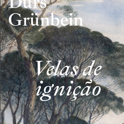 Capa de livro com árvores ao fundo e texto em branco.