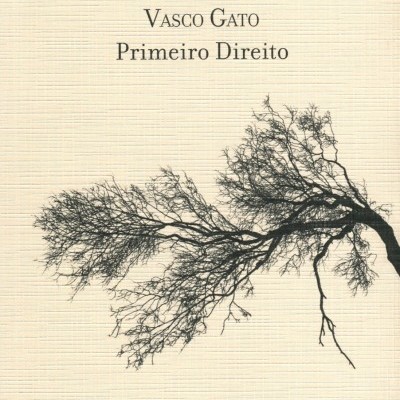 Capa do livro Primeiro Direito de Vasco Gato com imagem de galho de árvore seco