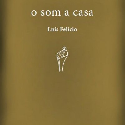 Capa de livro castanho-oliva com texto branco e desenho simples.