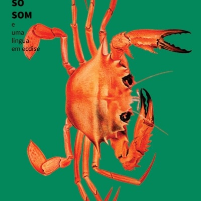 Capa de livro verde com caranguejo laranja e texto em preto