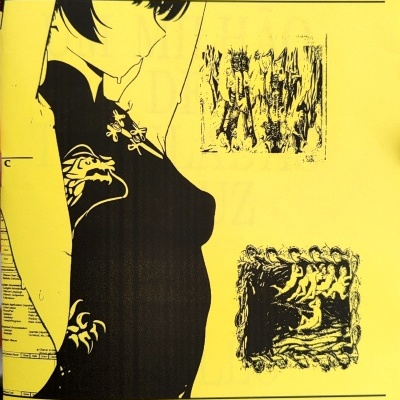 Capa amarela com figura feminina estilizada em preto e amarelo e texto ZA GALLO e UM MILHÃO DE TONELADAS DE LUZ