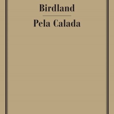 Capa de livro bege com texto preto e moldura fina preta.