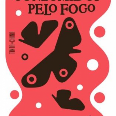 Capa de livro vermelha com texto e figuras pretas e círculos brancos