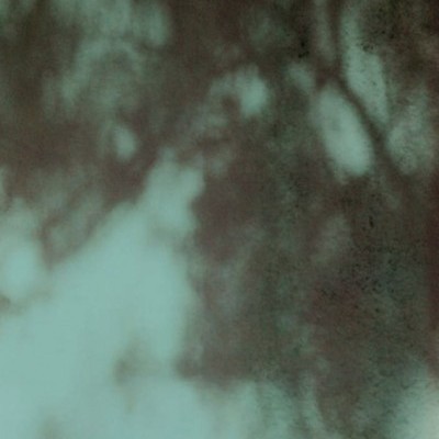 Capa de livro com texto Camilo Castelo Branco MARIA MOISÉS em fundo verde abstrato