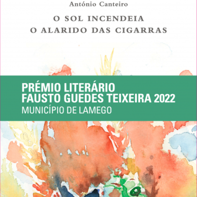 Capa de livro com título, autor, prémio literário e ilustração colorida abstrata