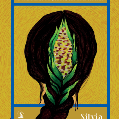 Capa do livro Reencantar o Mundo com imagem de cabelo trançado e folhas verdes