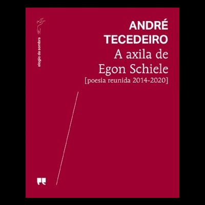 Capa vermelha de livro com texto branco e pequenos logotipos