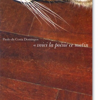 Cabeça de gato sobre chão de madeira com texto em português e francês