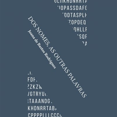 Capa de livro azul com texto branco diagonal