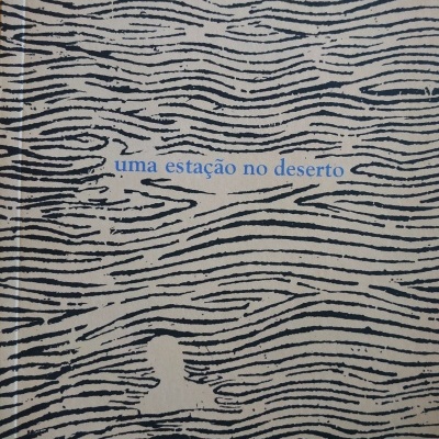 Capa de livro com padrão gráfico de linhas pretas onduladas e texto azul