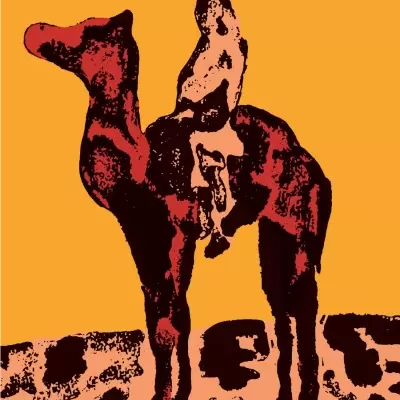 Capa de livro com título Os Mergulhadores do Deserto e autor Sven Lindqvist com ilustração de camelo