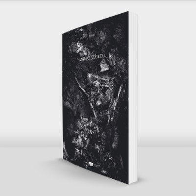 Livro com capa preta e branca com padrão abstrato e texto The Pattern 4