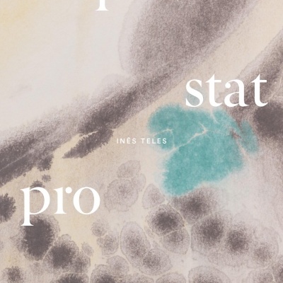 Imagem abstrata com texto 'aliquid stat pro aliquo' e 'INÊS TELES' em branco sobre fundo em tons beges, cinzentos e azul-turquesa.
